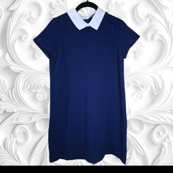 Zara Dresses & Skirts - Zara Navy Blue Mini Dress with white Collar Size Small
